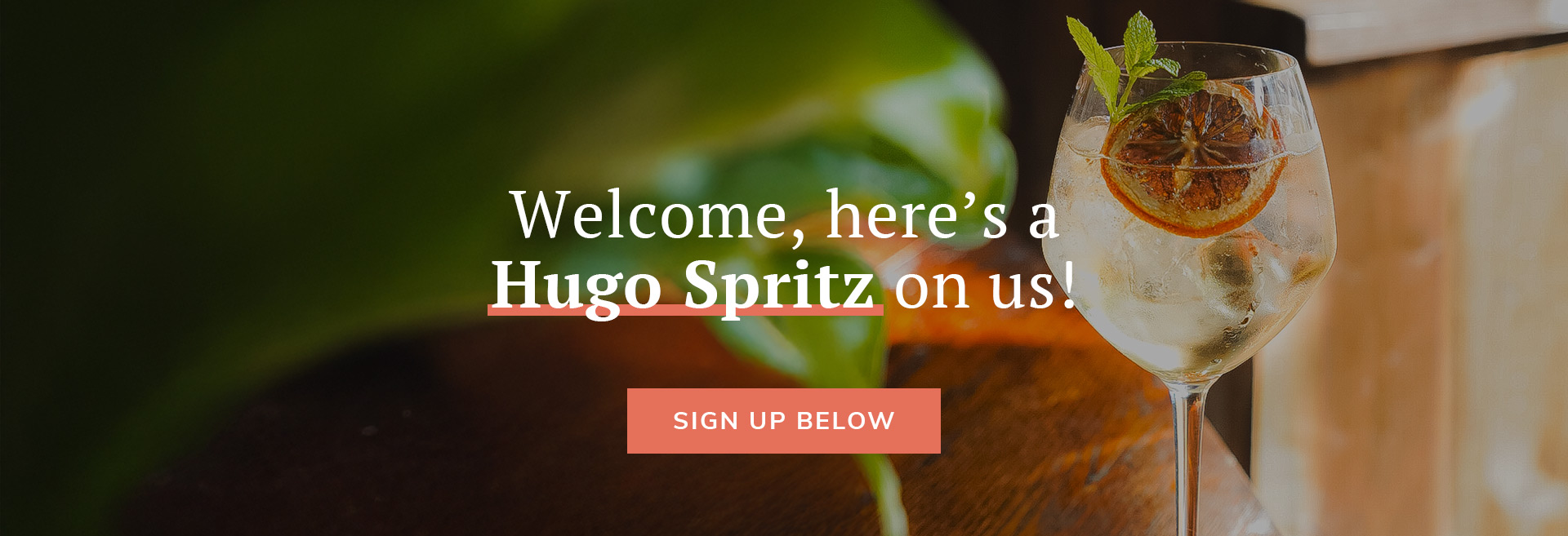 Sign up to the newsletter at The Bridge House