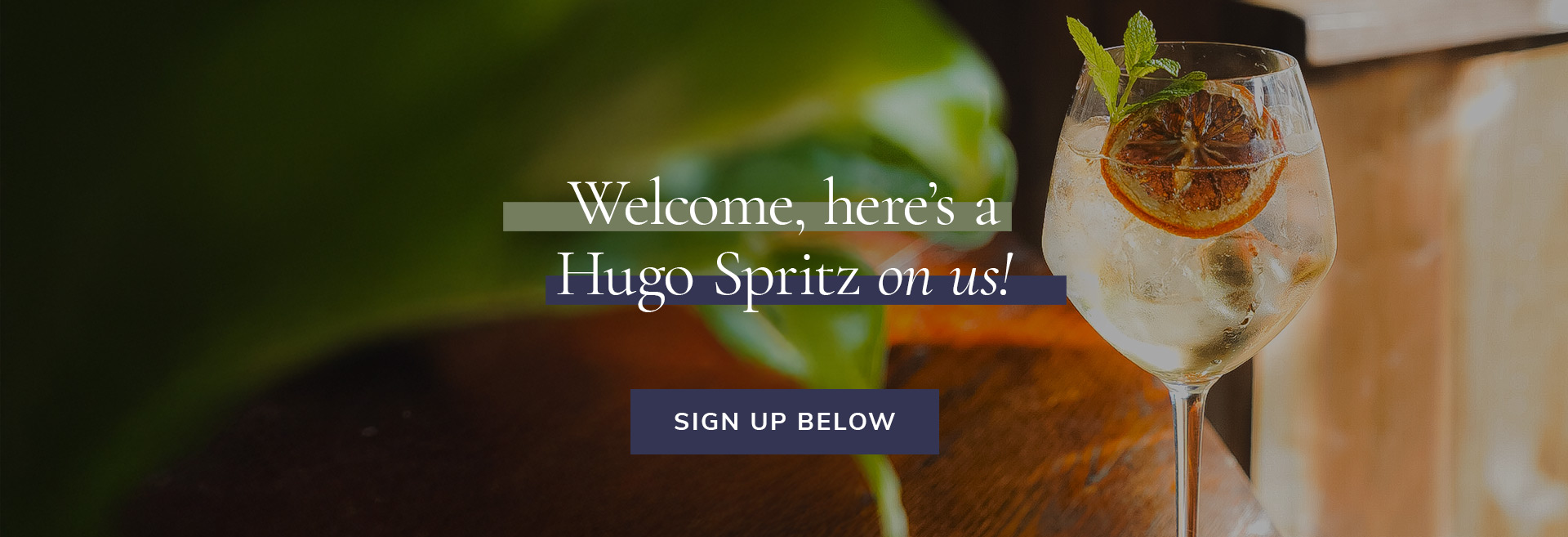 Sign up to the newsletter at The Bridge House